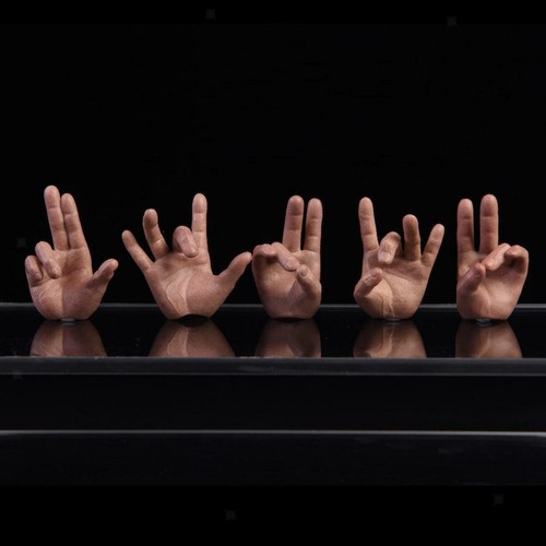Pieces wheat skin hands - 1:6,