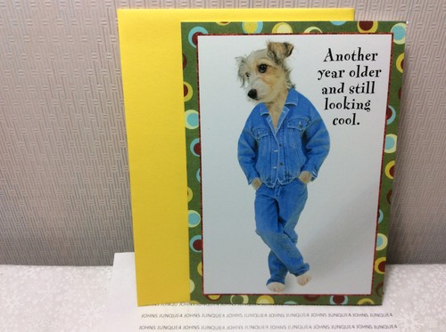Rsvp birthday greeting card - rsvp,