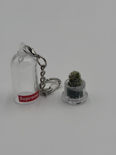Supreme cactus keychain box - supreme,