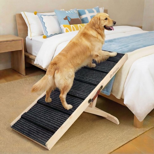 Small medium dog ramp - small,