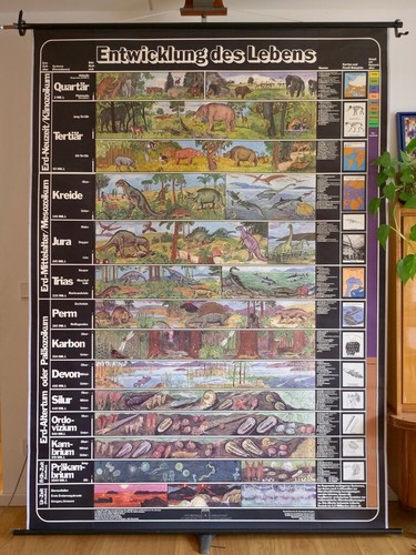 Vintage school wall map - vintage,