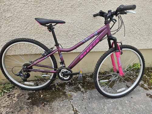 Twin speed girls - 18,
