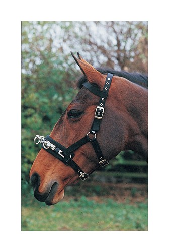 Equestrian lunge cavesson - hy,
