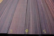 INDIAN ROSEWOOD electric /