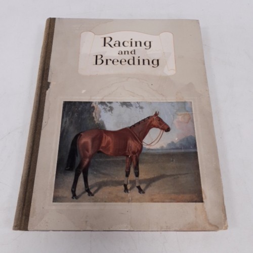 Racing and breeding - breeding, 1950