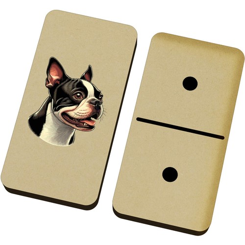 Cute boston terrier domino - boston, terrier'