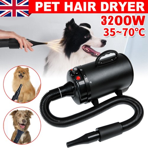 Dog hair dryer low noise - dog,