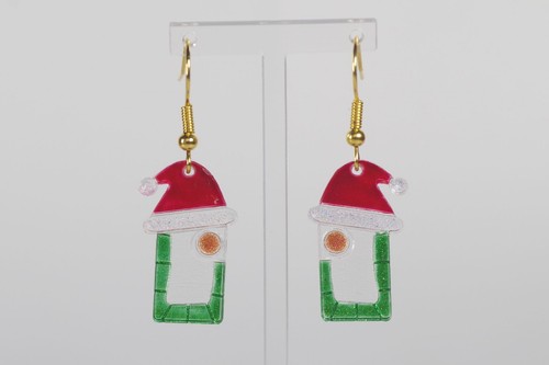 Christmas plant palisade cell
