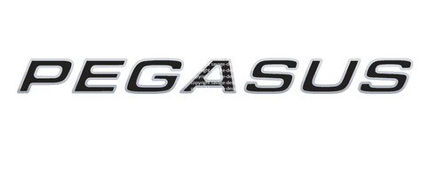 Pair bailey pegasus - pair,