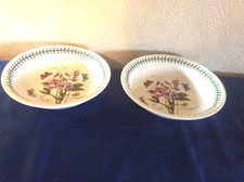 Portmeirion   Botanic Gardens