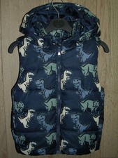H&M Boys Blue Dinosaur Hooded