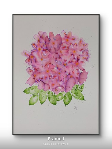Hydrangeas watercolour - hydrangeas,