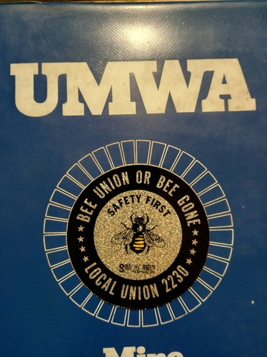 Nice very rare umwa local - very,