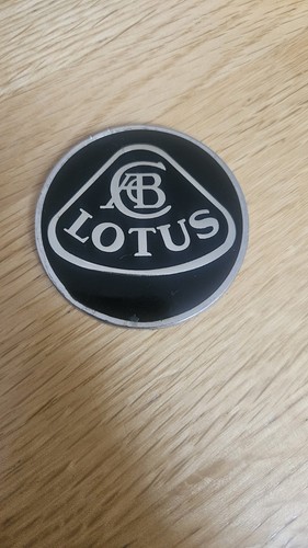 Vintage lotus enamel silver - vintage,