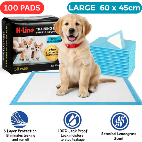 100 large puppy training - 100,