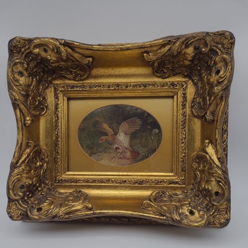 Archibald thorburn game bird - thorburn,