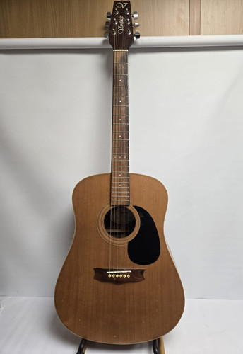 Vantage acoustic guitar - vantage,
