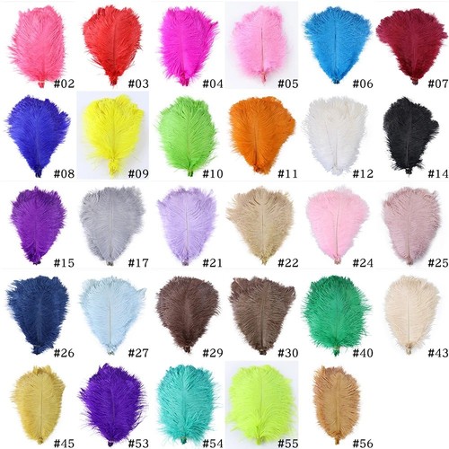 10pcs large ostrich feathers - large,