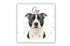Staffordshire bull terrier - staffordshire,