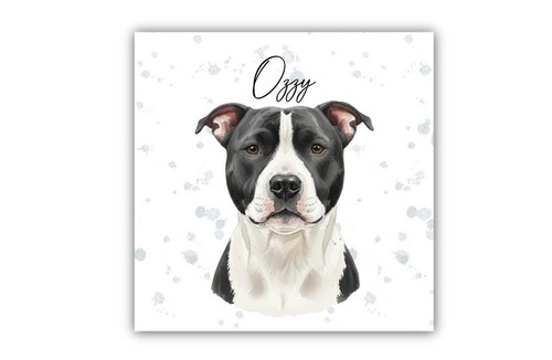 Staffordshire bull terrier - staffordshire,