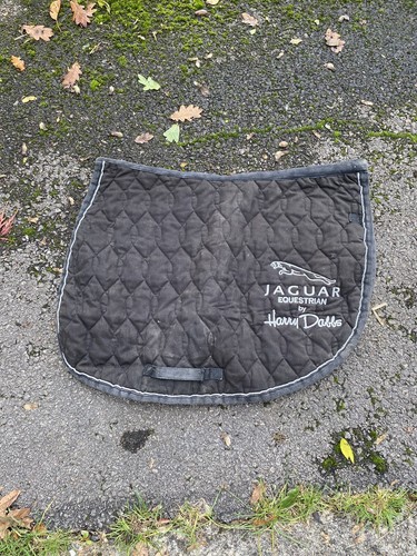 Cob size harry dabbs - size, jaguar
