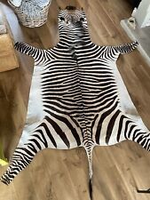 Taxidermy Full Hide of Hartmanns Mountain Zebra (with CITES Import Certificate)