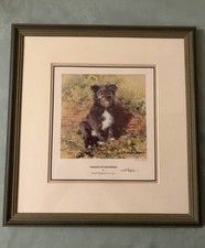 David Shepherd Signed Print Haggis Of Battersey No271 Of 1500