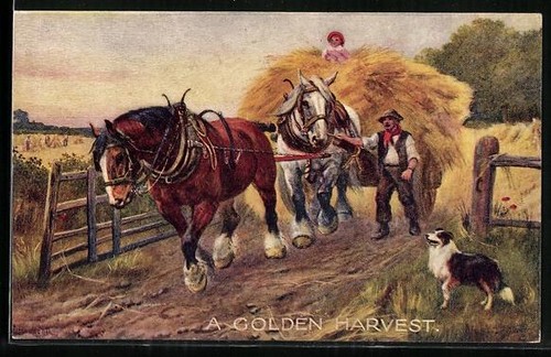 Artist postcard raphael - tuck, &