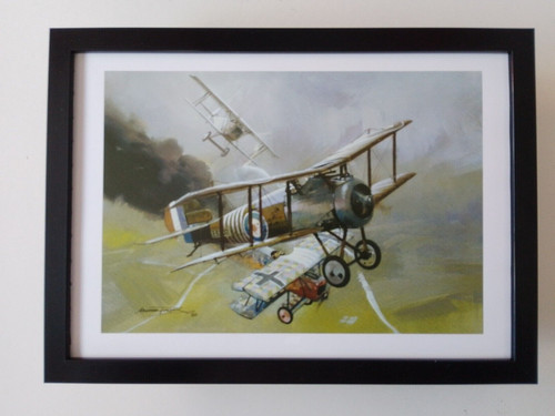Michael turner aircraft print - michael,