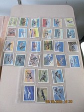 John Player & Sons Tom Thumb