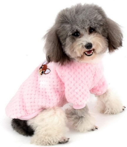 Zunea small dog - small, coat