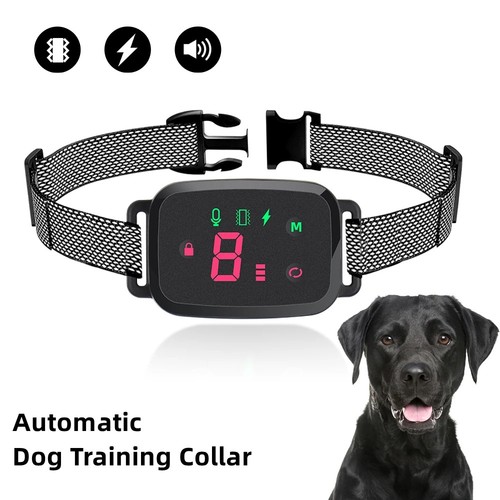 Smart anti barking dog - smart,