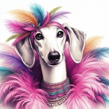 Glamorous Greyhound , Lurcher
