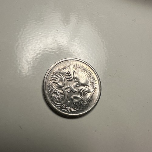 Rare hedgehog australian - rare,