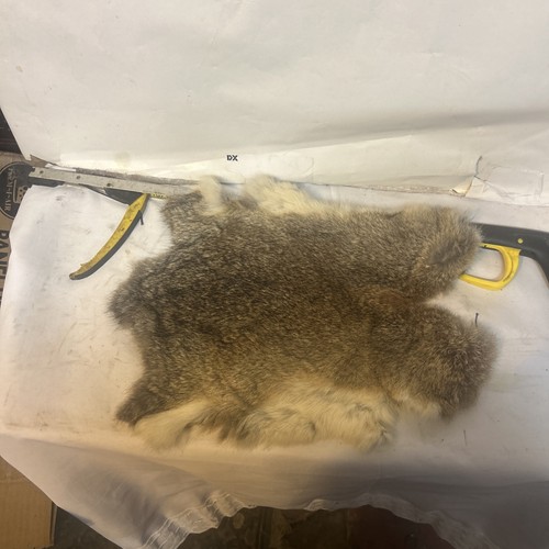 Real rabbit skin - fur, pelt