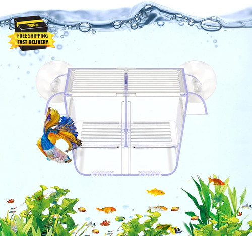 Fish breeding box aquarium - fish,