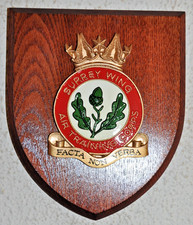 Air Training Corps Surrey Wing