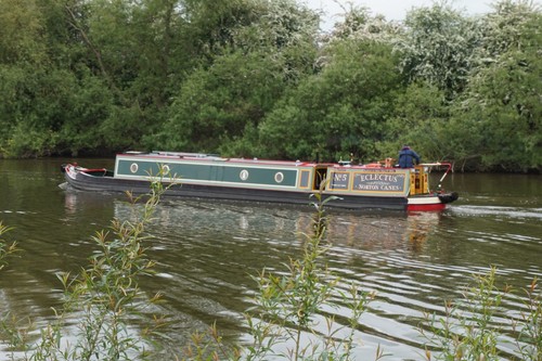 Photo 6x4 eclectus sails down - 6x4,