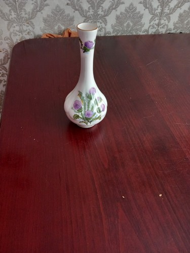 Vintage scottish bud - vintage,