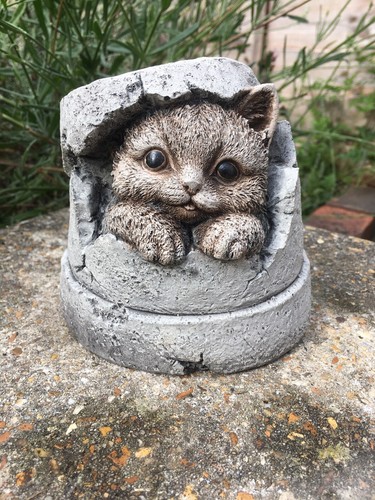 Cute kitten hiding pot - hiding,