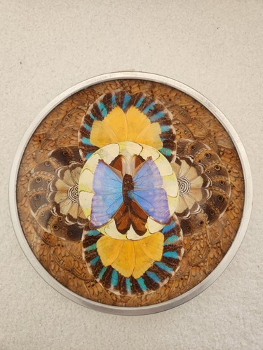 Decorative plate artefama a - decorative,