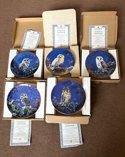 Wedgwood night owls - night, pollyanna