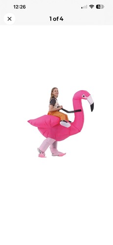 Flamingo costume adult - costume,