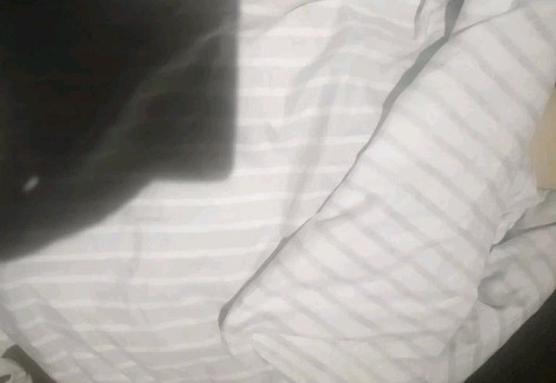 Joblot bundle bed sheet - bundle, 10