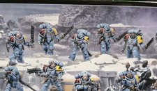 Warhammer 40k Space Wolves. 5 X Grey Hunters