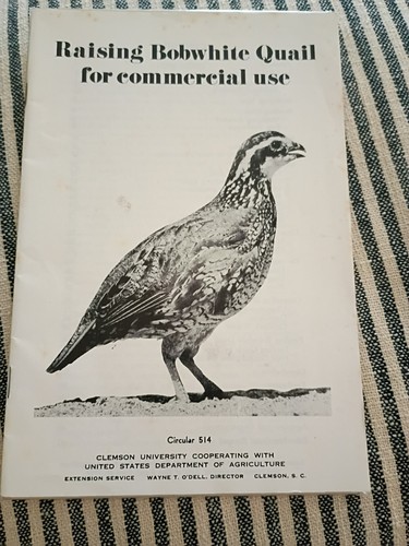 Raising bobwhite quail for - raising,