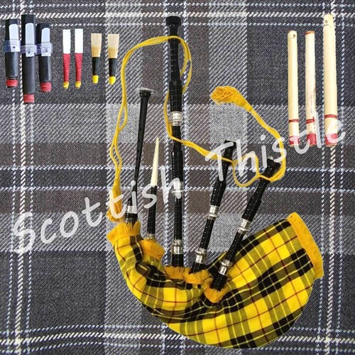 Scottish great highland - scottish,