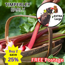 Timperley Early Rhubarb Plants Early Crown Organic Pot Fruit Vegetable SAVE 25%