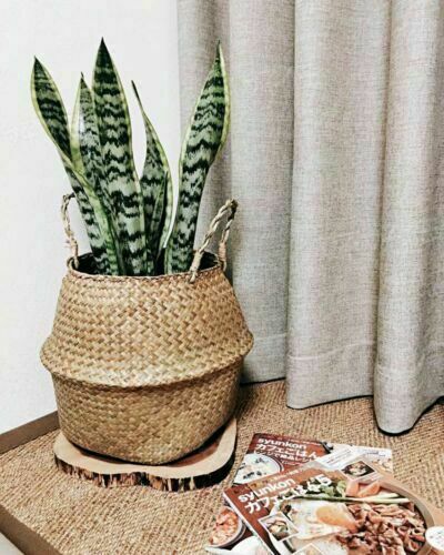 Seagrass basket belly flower - seagrass,