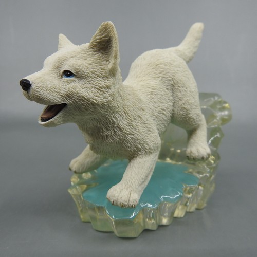 White wolf dog icy - white,